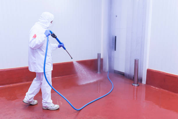 Best Solar Panel Cleaning  in Tiffin, IA