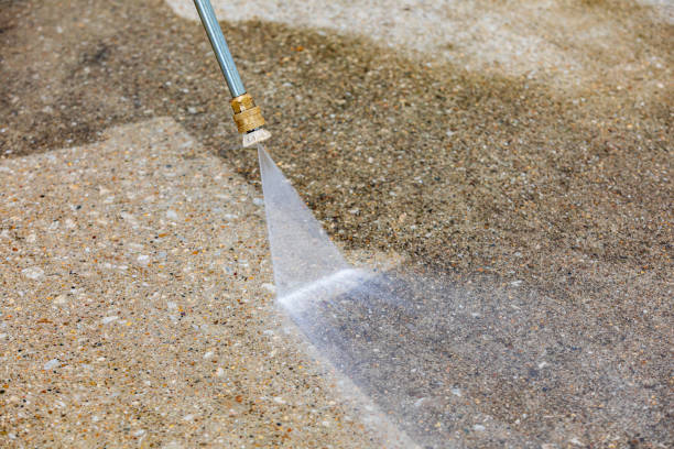 Best Driveway Pressure Washing  in Tiffin, IA